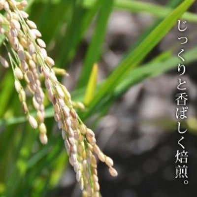 ふるさと納税 菊池市 きくち村の黒炒り玄米「玄黒茶」計600g(200g×3袋)【自然派きくち村】 |  | 02