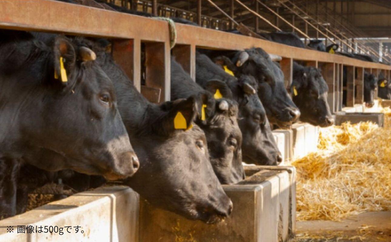 伊勢水沢牛（いせすいざわぎゅう）こだわりの自家製飼料から生まれたやわらかく甘みのある霜降り肉　牛 すき焼き・しゃぶしゃぶ用　1kg　三重畜産【国産牛 牛肉 お肉 肉 すき焼き しゃぶしゃぶ 三重県 四