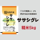 【ふるさと納税】ササシグレ　精米5kg　【お米・宮城県産】