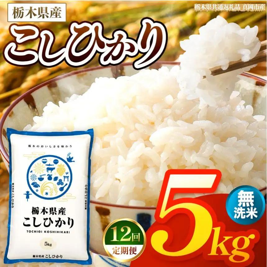 【令和8年産 新米】 【定期便12回】栃木県産 お米 こしひかり　（無洗米） 5kg 【2026年秋以降発送】 |  栃木県 矢板市 【栃木県共通返礼品 真岡市産】