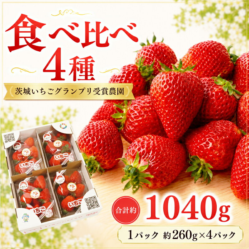 【ふるさと納税】 いちご [2027年1月中旬順次発送] 完熟 いちご 4品種 食べ比べ セット いばらキッス ひたち姫 とちおとめ やよいひめ よつぼし すず はるひ かおり野 イチゴ 苺 旬 フルーツ 果物 果実 ふるさと納税苺 おすすめ苺 ギフト 国産 関東 茨城県 茨城 筑西市 筑西