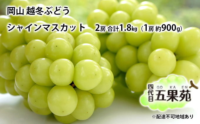 越冬 ぶどう シャイン マスカット 2房 合計1.8kg（1房 約900g）岡山県産 四代目 五果苑 果物 フルーツ デザート 樹上 完熟 平均糖度20度 減農薬 種なし 皮ごと 