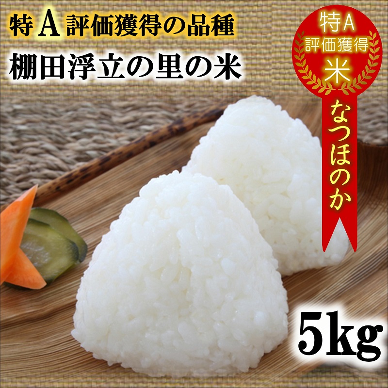 【令和8年産米】松浦の寒暖差が味の決め手!特A評価獲得の品種「なつほのか」棚田浮立の里のお米5kg( コメ 米 なつほのか 白米 精米 国産 送料無料 )【126-0001】