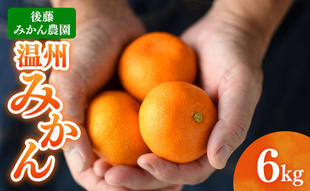 後藤みかん農園 温州みかん 6kg 宮川 片山 果物 くだもの 旬のフルーツ 旬の果物 季節のフルーツ 季節の果物 柑橘 柑橘類 静岡 浜松市