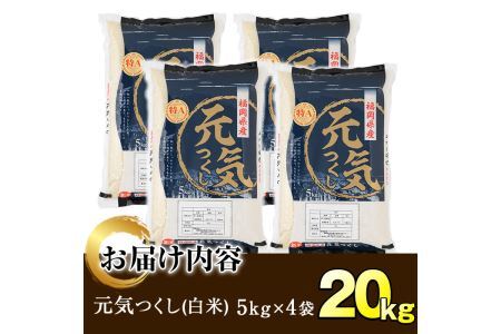 ＜先行予約受付中！2025年11月初旬から順次発送予定＞＜令和7年産＞福岡県産ブランド米「元気つくし」白米(計20kg・5kg×4袋)お米 20キロ ごはん ご飯 【ksg0380】【朝ごはん本舗】