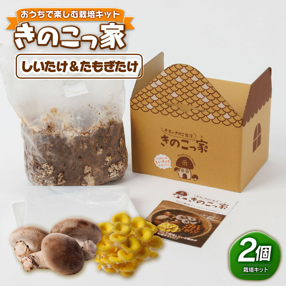 【ふるさと納税】おうちで楽しむ栽培キット「きのこっ家」2種セット　しいたけ×たもぎたけ　