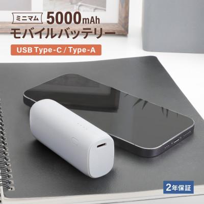 ふるさと納税 海老名市 (オウルテック) 片手に収まるミニマム感 最大PD20W対応 5000mAhモバイルバッテリー