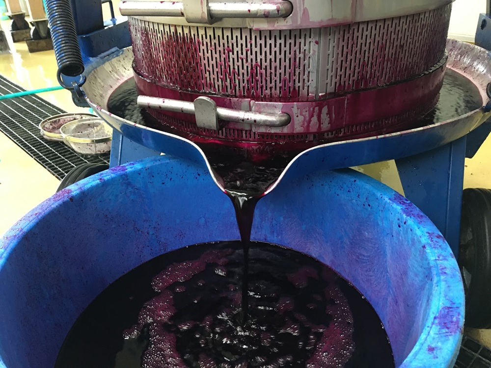 ブドウ ジュース ジャム 伊那市産 山ぶどうジュース 720ml 1本 ＆ 山ぶどうジャム 140g 2個 セット | 飲料 加工品 セット 山ぶどう 山葡萄 ぶどう 信州大学 信大W-3 ポリフェノ