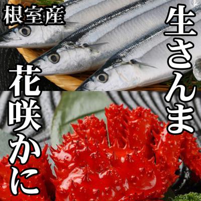 ふるさと納税 根室市 【北海道根室産】花咲かに300g〜450g前後×1尾、生さんま5尾×1P G-70002