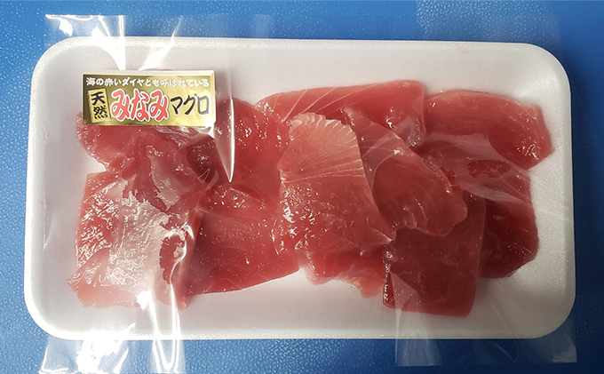 【定期便6回】天然南まぐろ 赤身 切落し【配送不可：離島