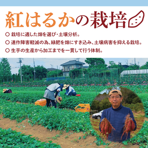 04-08 【先行予約】茨城県阿見町産 干し芋（紅はるか）スライス 150g×3【国産 スイートポテト おいも スイーツ ほしいも さつまいも おやつ お菓子 和菓子 和スイーツ 阿見町 茨城】