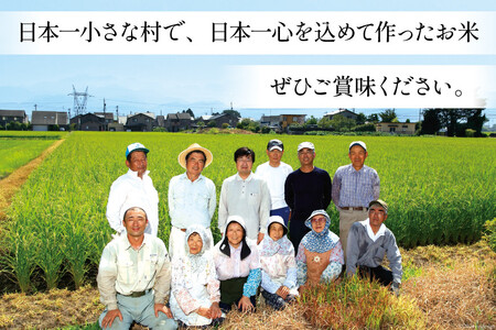 米 令和7年 ばんどり米 コシヒカリ 精米 5kg 2袋 計10kg 6回 定期便 総計60kg