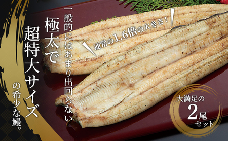うなぎ 厳選肉厚 浜名湖 鰻白焼 約200g × 2匹 国産