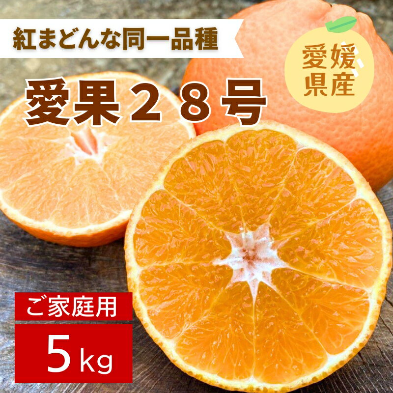 【ふるさと納税】みかん 愛媛 愛果28号 5kg ご家庭用 2L〜4L 大玉 紅まどんなと同一品種 人気 数量限定 先行予約 柑橘 伊予市 【2025年11月下旬から順次発送予定】｜B83