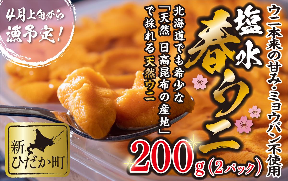 ＜ 2026年4月上旬より発送 ＞ うに 北海道 200g （ 100g × 2パック ） 使用するのは塩水のみ 日高沖産 塩水 生雲丹 春ウニ エゾバフンウニ ＜ 予約受付 ＞