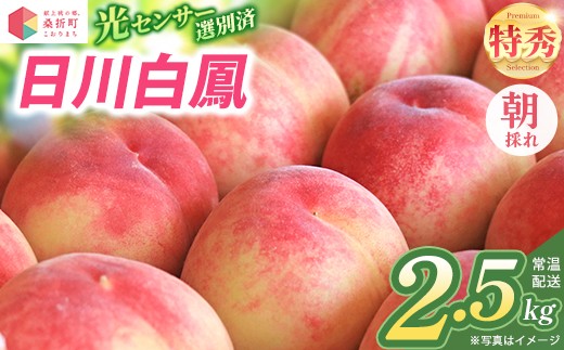 もも【日川白鳳・2027年先行予約】特秀2.5kg（7～9玉）桑折町振興公社 ／ もも モモ 果物 早生桃 桃 白桃 フルーツ 2.5kg 大容量 特秀品 果汁たっぷり やわらかい 甘い果物 家庭用 贈答用 夏フルーツ 季節限定 お取り寄せフルーツ 新鮮フルーツ 福島県 特産品 献上桃の郷 【07301-0315】