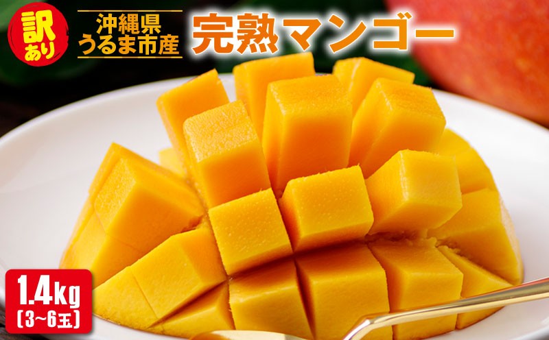 
                  沖縄県 うるま市産 完熟 マンゴー 訳あり品 1.4kg【2026年発送】
                