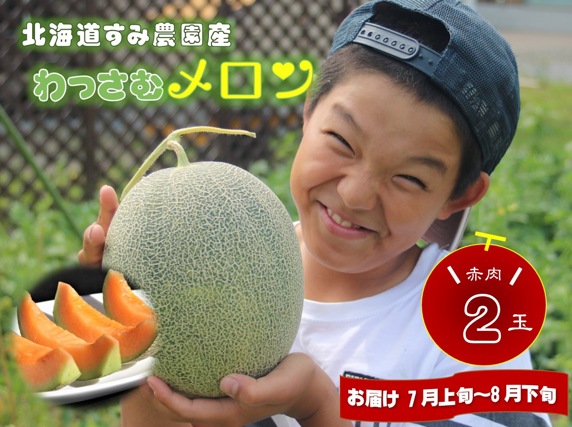 
【ふるさと納税】≪令和6年産≫わっさむ産メロン（赤肉2玉）【7～8月お届け】
