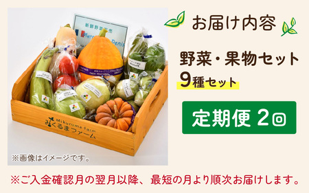 【定期便２回】朝どれ 旬な野菜 果物セット 9種類セット【お届け対象月 5月,8月,11月】農薬・化学肥料不使用