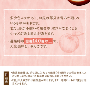 江刺りんご サンふじ 10kg（28～40玉）【2025年1月中旬以降お届け】 [AQ012]
