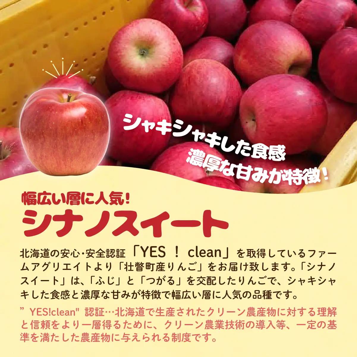 【先行予約】 シナノスイート 約5kg 2026年10月下旬頃～発送予定 SBTB013