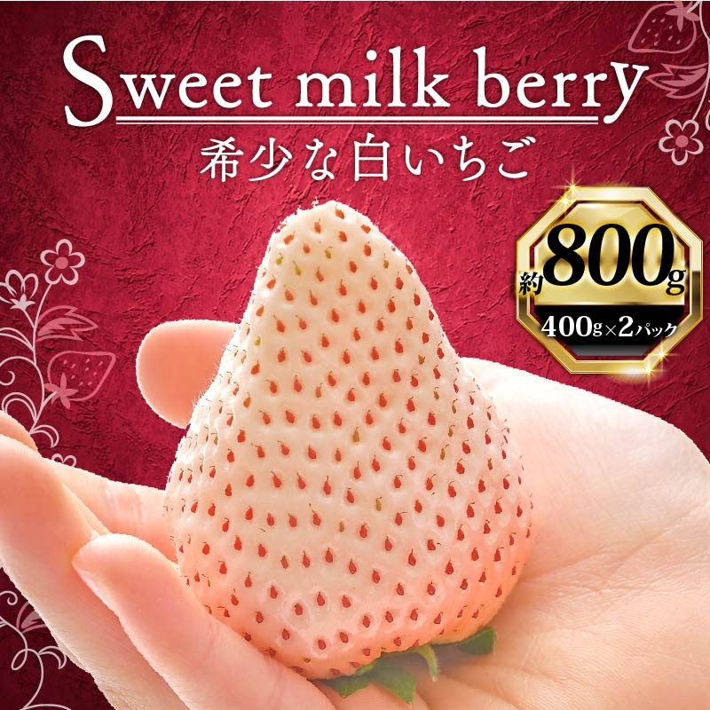 
                  【1月から順次発送開始】 いちご 白いちご 計 800g 計 2 パック 高級 白 イチゴ 苺 セット Sweet milk berry  2 パック 400g × 2 パック フルーツ 期間限定 数量限定 苺 イチゴ ベリー フルーツ スイーツ デザート 果物 果汁 ストロベリー 甘い  国産 安心 濃厚 新鮮  贈答用 プレゼント くだもの お歳暮 静岡いちご 静岡苺 静岡県 牧之原市 畠農宝
                