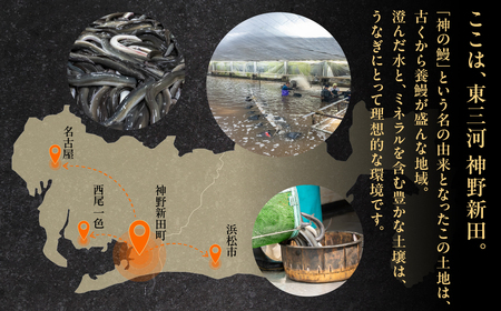 神の鰻 4尾 国産 特上 うなぎ