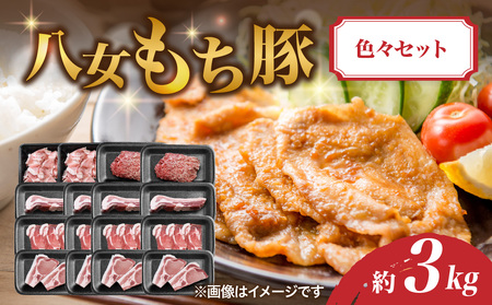 八女もち豚色々セット 計約3キロ 072-209