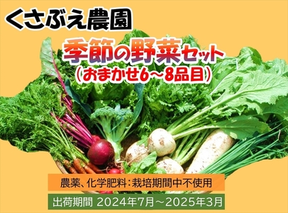  くさぶえ農園 季節の野菜セット (おまかせ6～8品目) 高原野菜 無農薬 新鮮 旬 簡単レシピ 〈2024年7月1日出荷開始～2025年3月31日出荷終了〉【 産地直送 産直 高原野菜 季節の野菜 旬の野菜 有機野菜 有機栽培 農薬 化学肥料 不使用 長野県 佐久市】