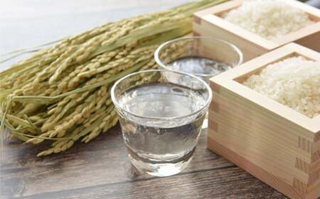 中野酒造 清酒 智恵美人 純米酒 1800ml 3本 セット【神田楽市】 九州 大分県 受賞 日本酒 純米酒 一升 ＜105-029＞