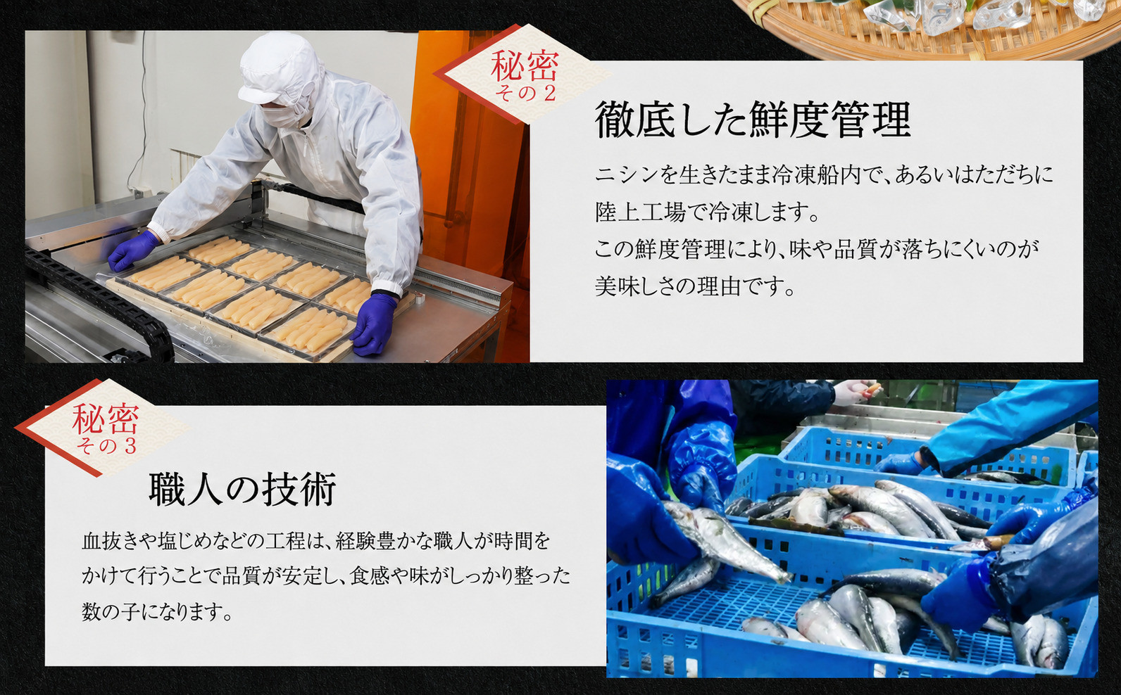 塩数の子 化粧箱入り 400g×2 F21H-504【順次発送】 【発送時期】順次発送