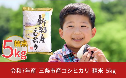 新潟県三条市産 コシヒカリ 5kg こしひかり 令和7年産 米 [株式会社白熊] 【010S099】