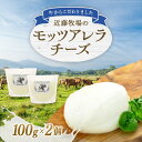 【ふるさと納税】 近藤牧場のモッツアレラチーズ 100g×2個 千葉県 南房総市 新鮮 牛乳 ミルキー さわやか フレッシュチーズ 手作り 食感 モッツァレラ チーズ おつまみ トッピング 乳製品 送料無料