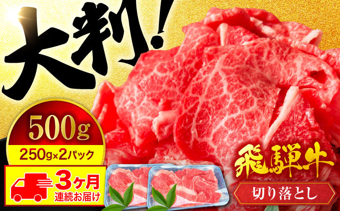
                  飛騨牛 切り落とし 500g【3回定期便】【有限会社マルゴー】国産牛 和牛 霜降り [MBE029]
                