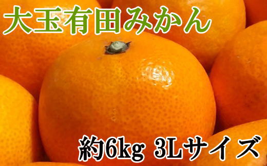 [秀品]和歌山有田みかん　6kg(3Lサイズ) ※2024年11月中旬～1月中旬頃順次発送予定（お届け日指定不可）