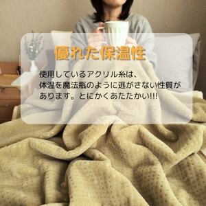あったかボリューム毛布「ぽかぽか日和」ベージュ【1634950】
