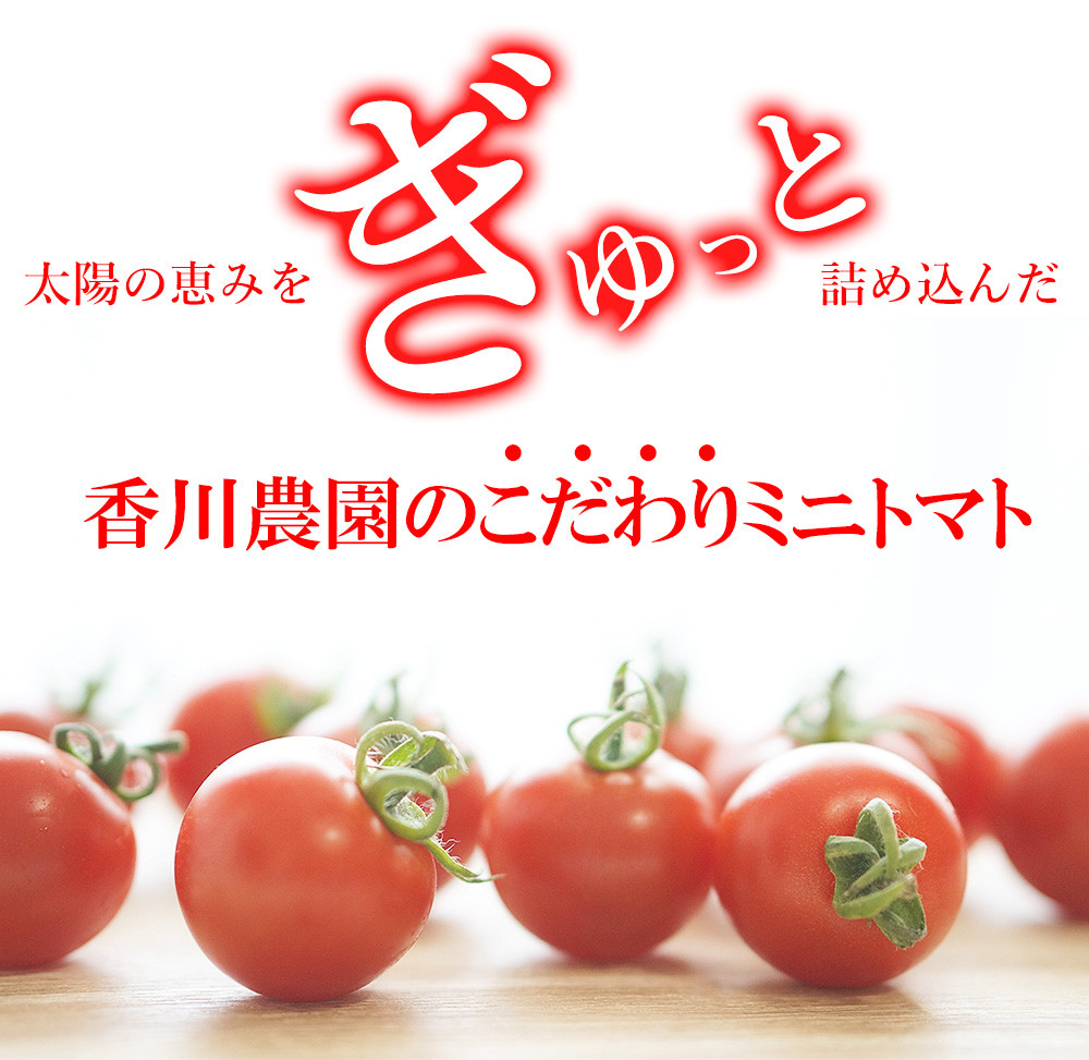 ミニトマト1.5kg