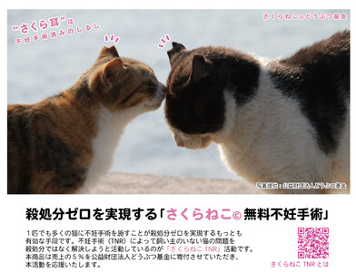 マグネット桜猫　5個入り10セット[6161071][野良猫保護支援 保護猫 ねこ のらねこ さくらねこ どうぶつ基金 マグネット 磁石]