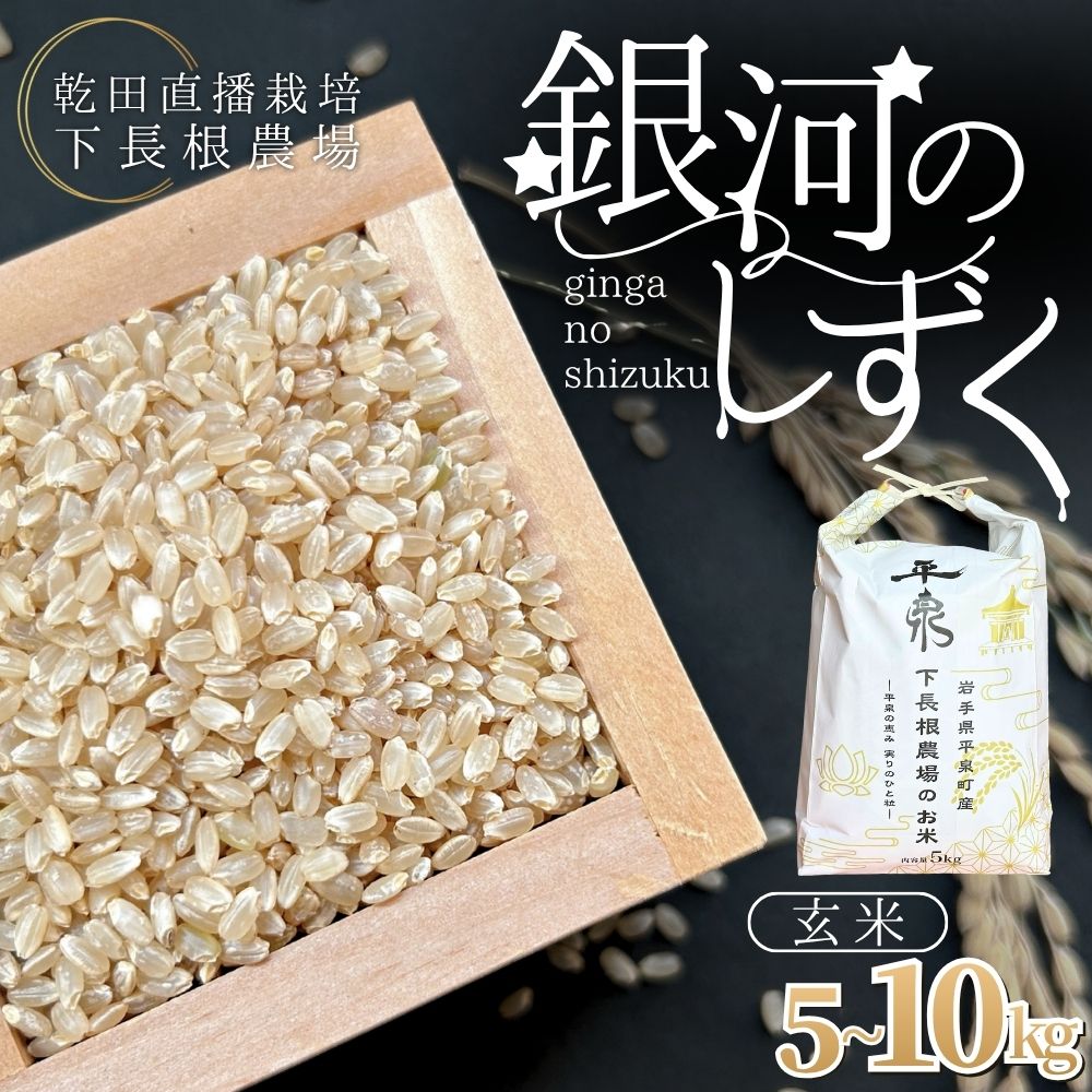 【ふるさと納税】【令和8年産 予約販売】【10月末以降順次発送】平泉町産 銀河のしずく 玄米 5kg 10kg / こめ 乾田直播 コメ 乾田直播栽培米 銀河のしずく 米 お米 おこめ 玄米 ご飯 ごはん ライス