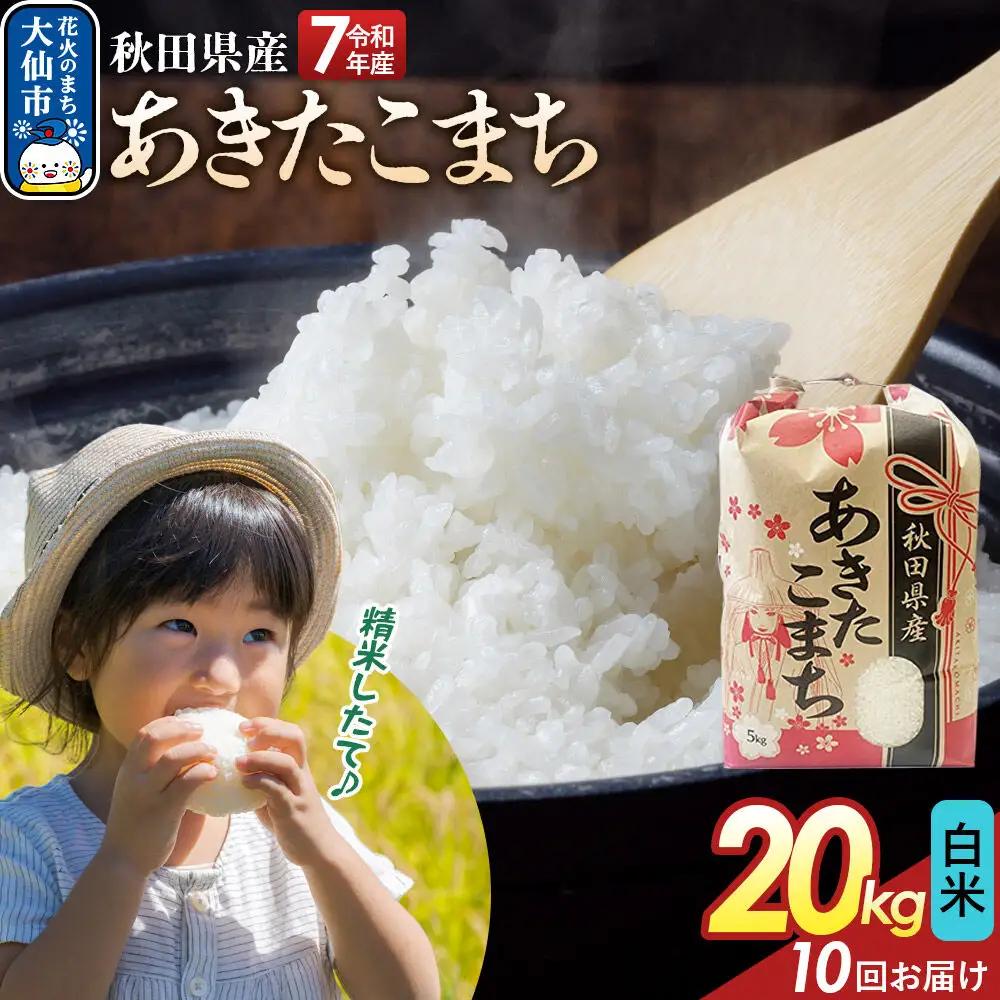 《定期便10ヶ月》【白米】あきたこまち 20kg（5kg×4） 秋田県産 令和7年産  こまちライン 秋田県 大仙市産