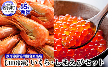 いくら 80g 北海しまえび 中サイズ 300g セット