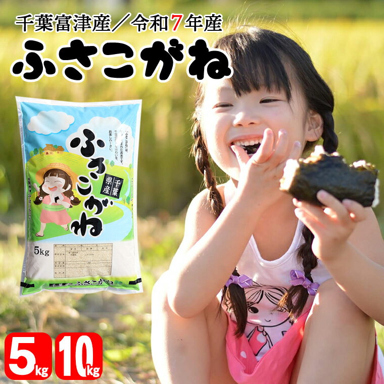 【ふるさと納税】米 精米 令和7年産 ふさこがね 5kg 10kg 1袋5kg 千葉富津産 大粒 もっちり 白米 ごはん 米 ライス おにぎり 太巻き寿司 米店 千葉県 富津市 送料無料 2025年