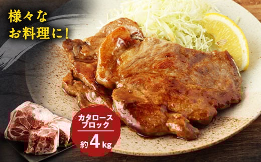 大分県産ブランド豚 奥豊後豚（米の恵み）カタロースブロック 4.0kg(2.0kg×2)