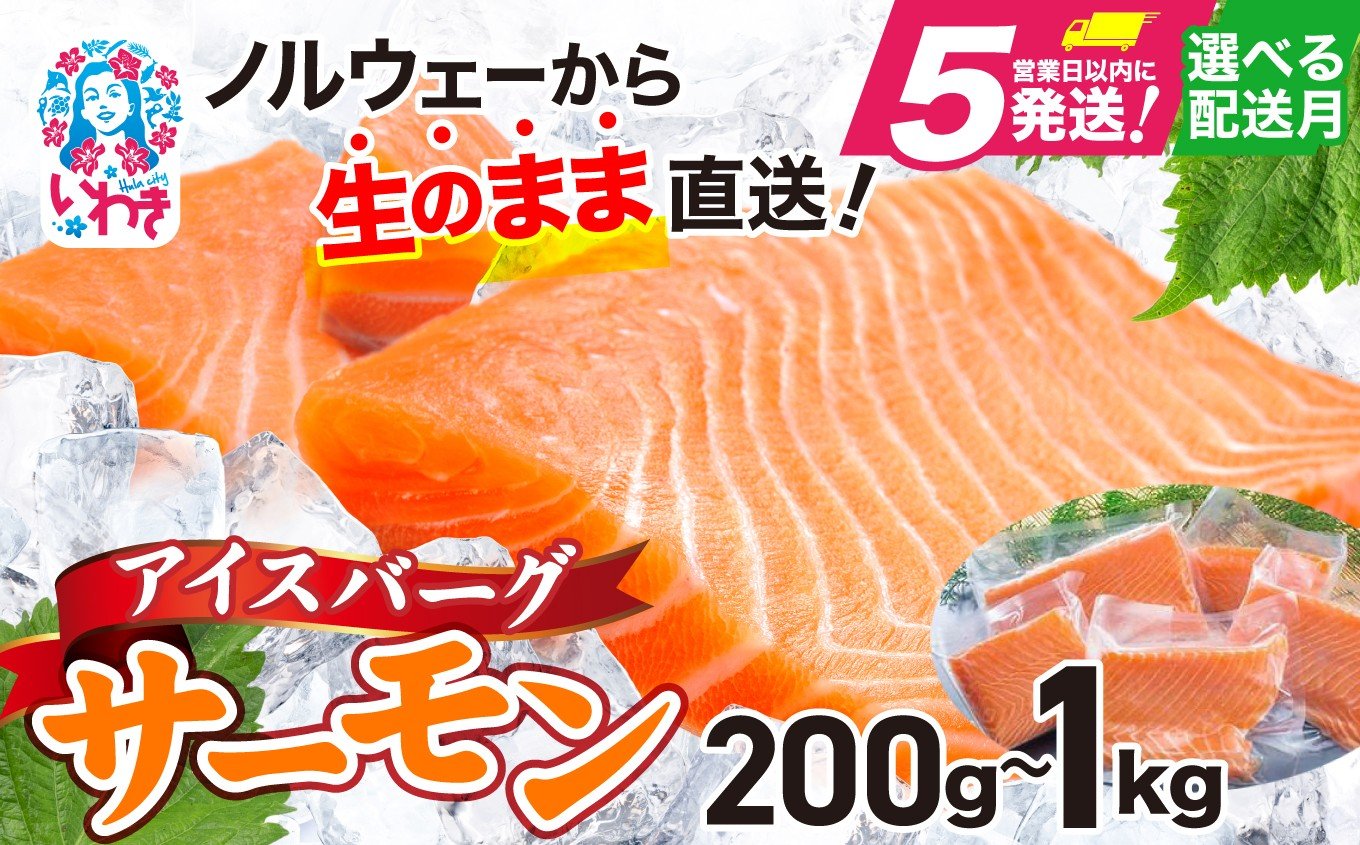 
            アイスバーグサーモン（アトランティックサーモン）　約200g〜1kg（約200g×1〜5袋） ｜選べる容量 選べる配送月 刺身 フィレ 個包装 冷凍 さけ サケ 生食サーモン 鮭 海鮮 手巻き寿司 海鮮丼 人気 おすすめ ノルウェー産 ｜
          