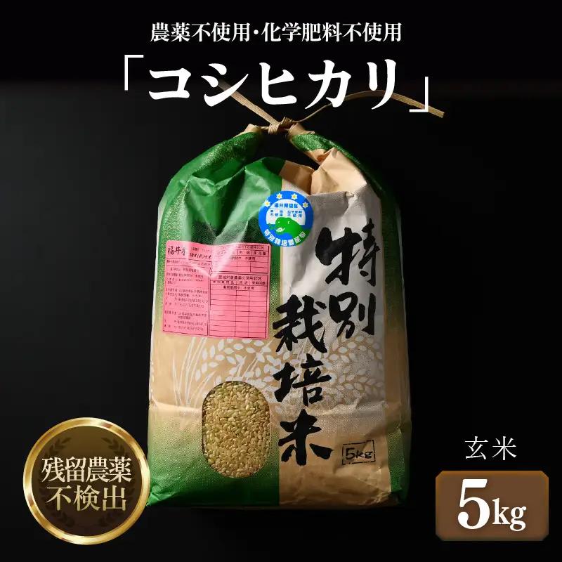 【先行予約】【令和8年産 新米】コシヒカリ 玄米 5kg 特別栽培米 農薬不使用 化学肥料不使用 ／ 残留農薬ゼロ 高品質 鮮度抜群 福井県産 ブランド米 ※2026年9月下旬より順次発送予定 [aw063-a011]