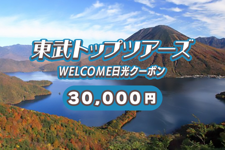WELCOME日光クーポン 3万円分 宿泊券 [0102]