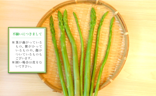 【農家さん応援！！】鮭川村産 アスパラガス 　不揃いサイズ MIX 1kg