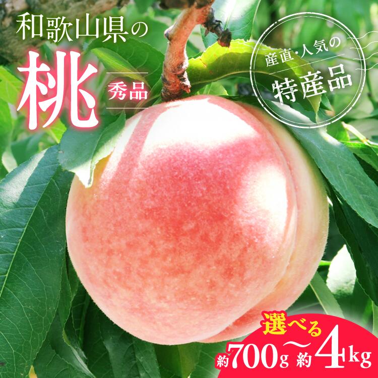 【ふるさと納税】【産直・人気の特産品】【選べる内容量！】和歌山の桃〈秀品〉◇ ｜ もも モモ 桃 国産 フルーツ 果物 果実 お取り寄せ ギフト デザート 贈り物 ※北海道・沖縄・離島への配送不可 ※2025年6月下旬～8月上旬頃に順次発送予定