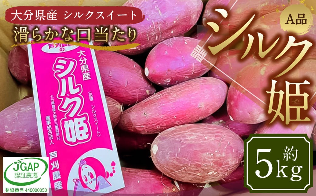 004-1304 シルク姫 約5kg（A品） さつまいも いも イモ 芋 シルクスイート 国産 常温 大分県 豊後大野市 【2026年9月上旬-2027年5月下旬発送予定】