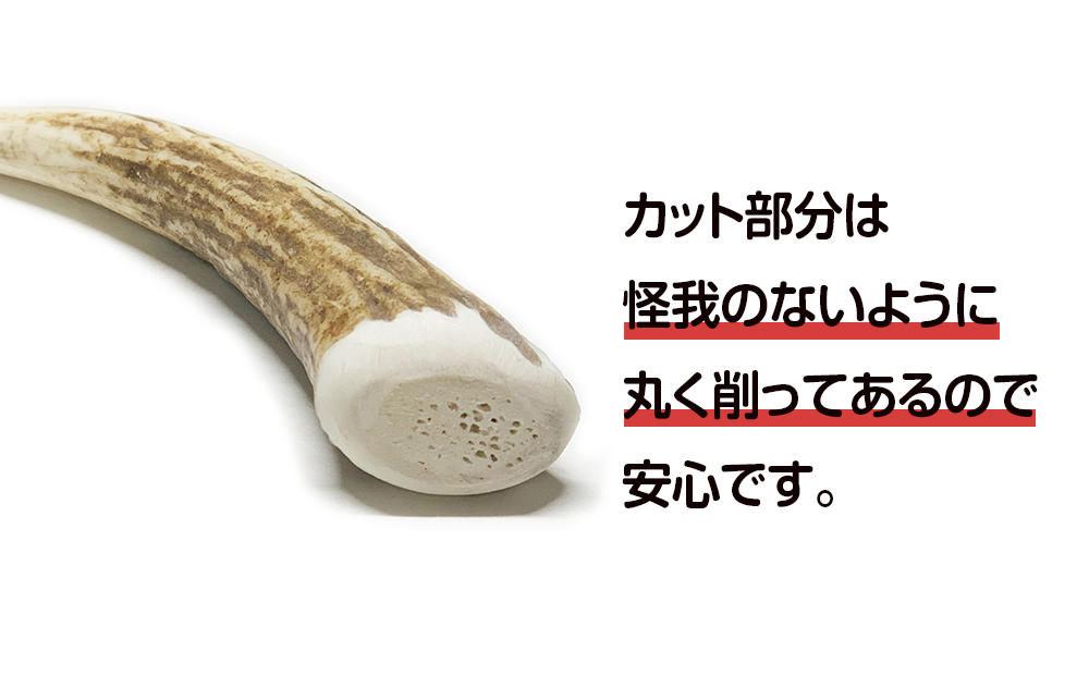 鹿の角 エゾシカ 犬のおもちゃ 『鹿角さん』 小型犬用　先端　1本 CB025_イメージ2